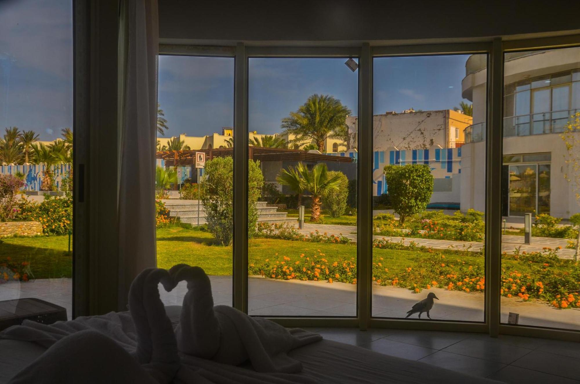 Scandic Appartement Hurghada